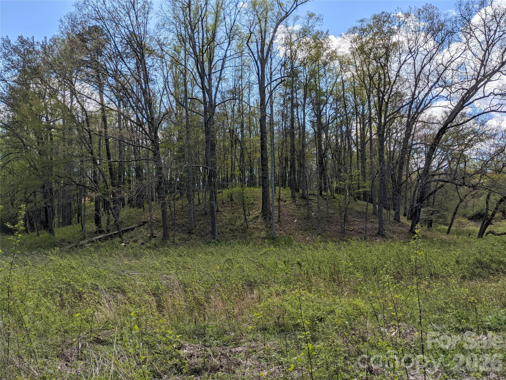 27 Woodtrail Way - Photo 21