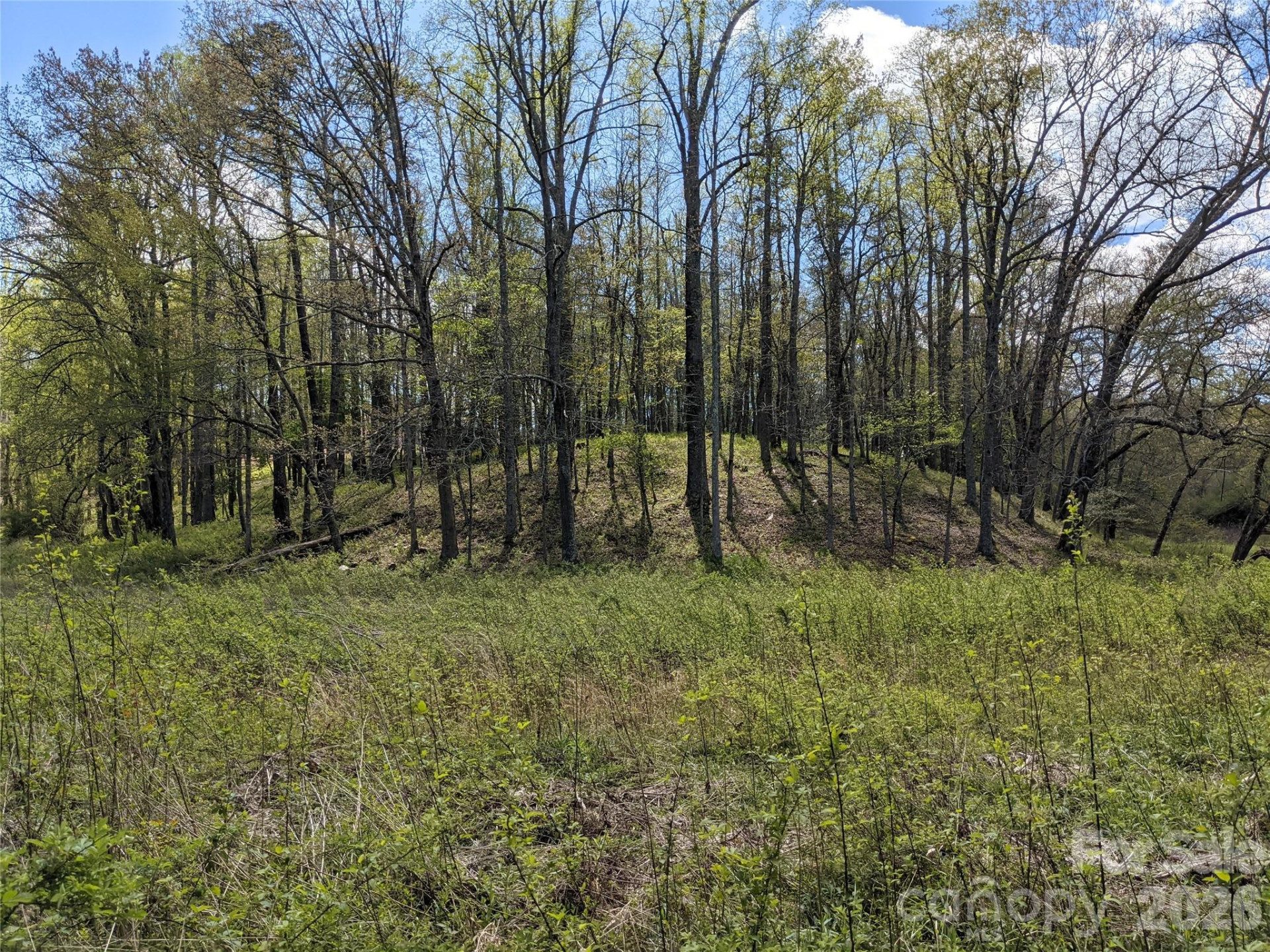 27 Woodtrail Way - Photo 23