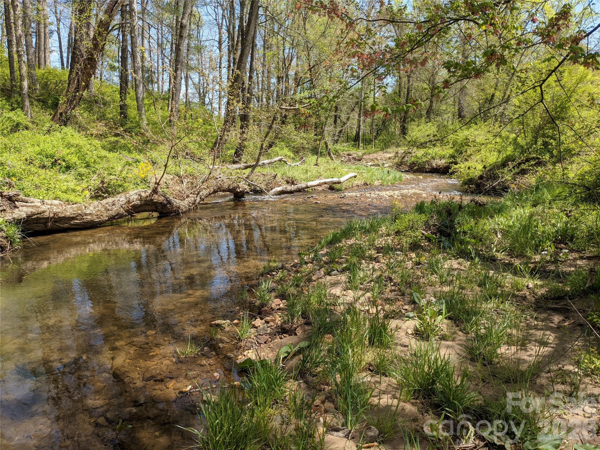 27 Woodtrail Way - Photo 30