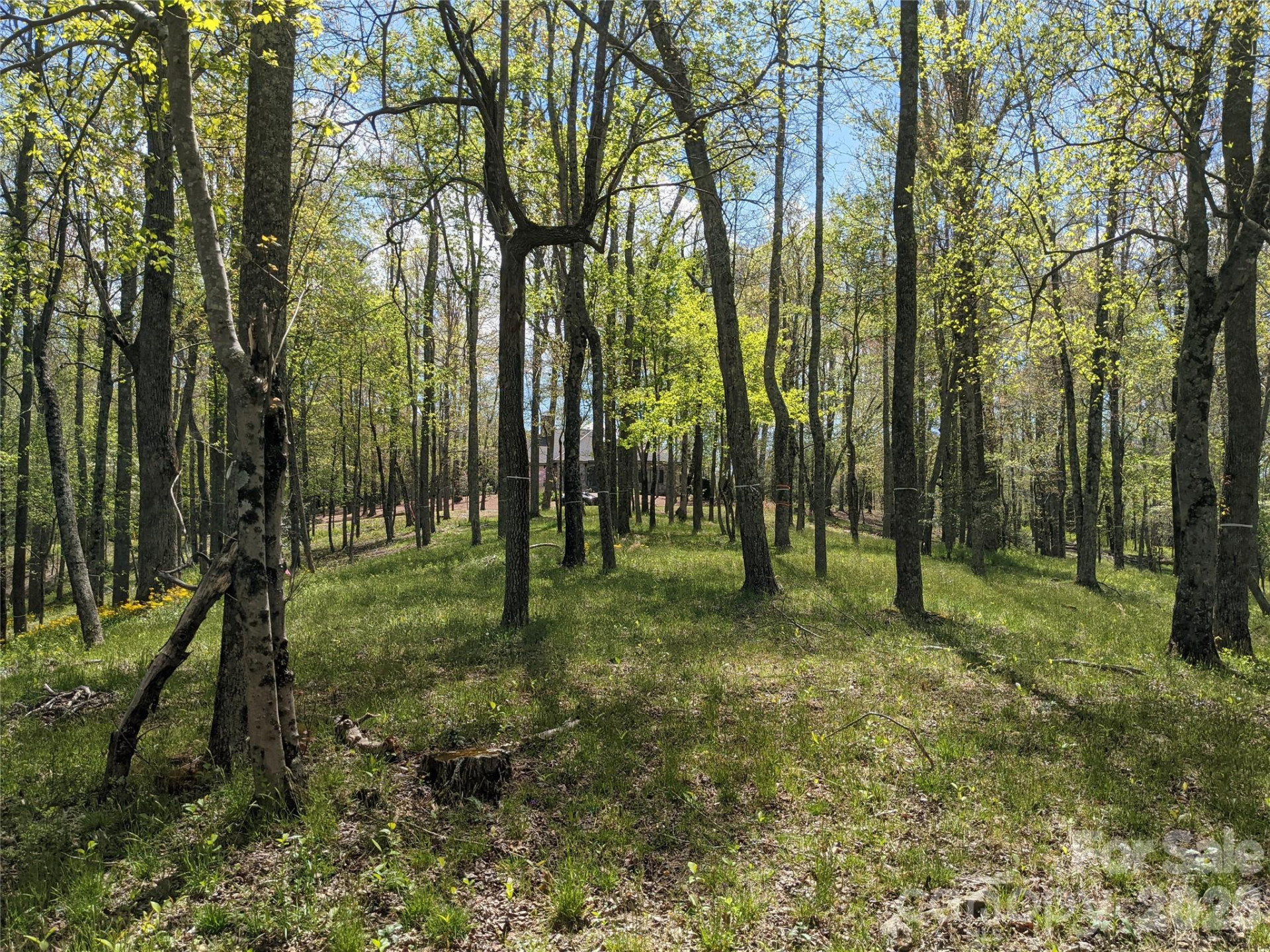 27 Woodtrail Way - Photo 4