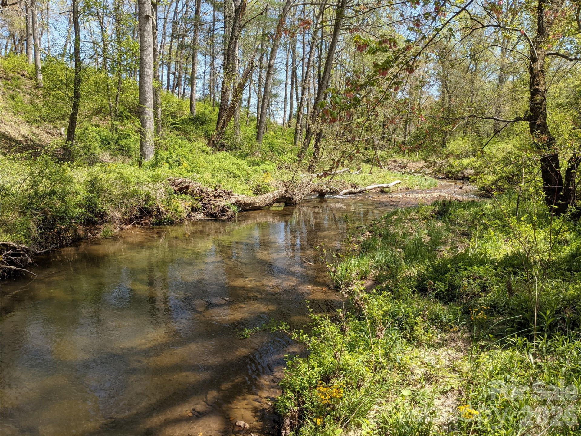 27 Woodtrail Way - Photo 31