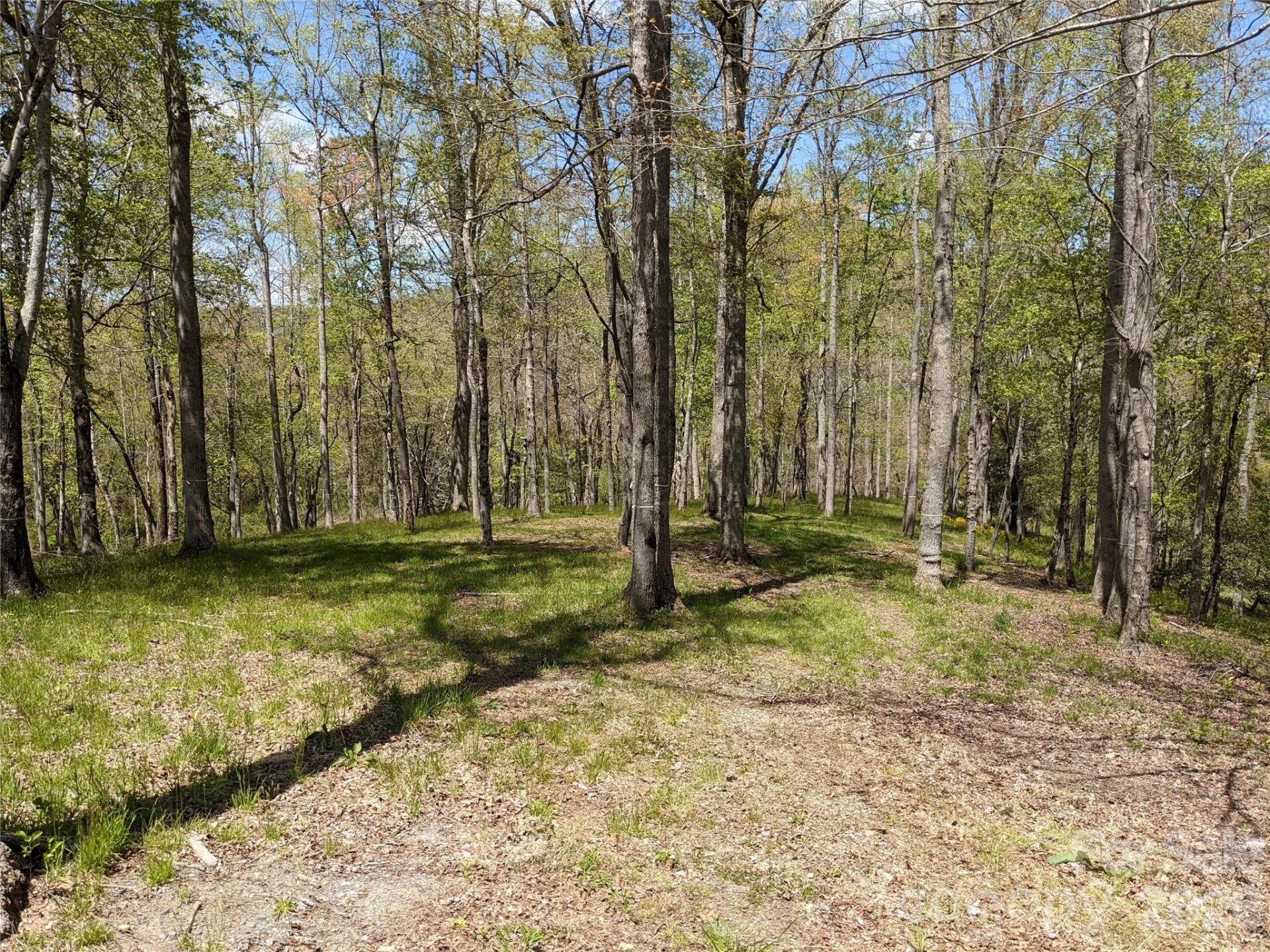 27 Woodtrail Way - Photo 38
