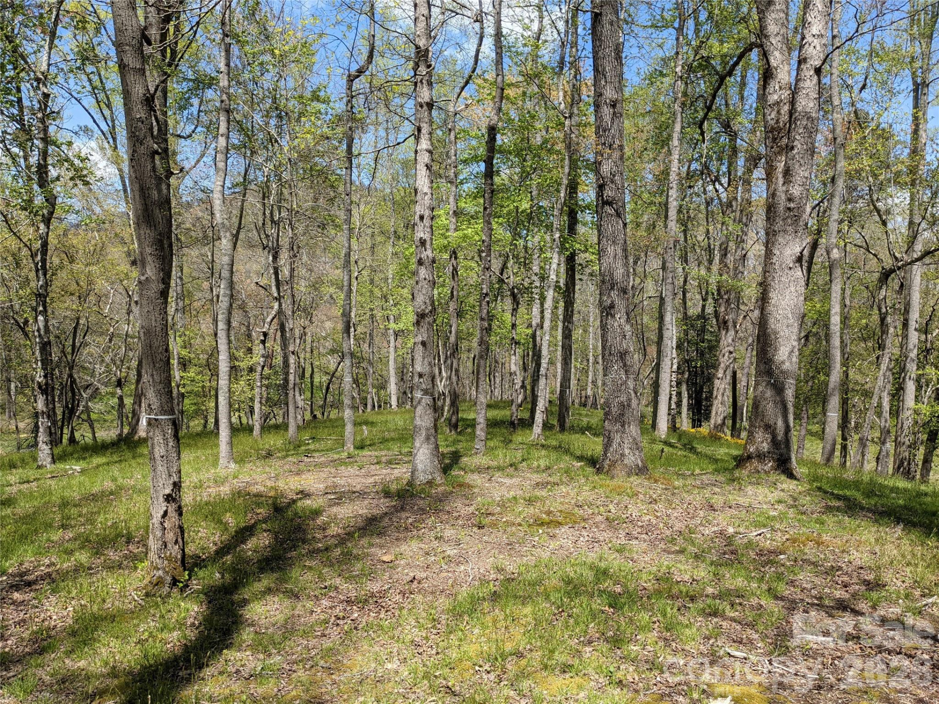 27 Woodtrail Way - Photo 5