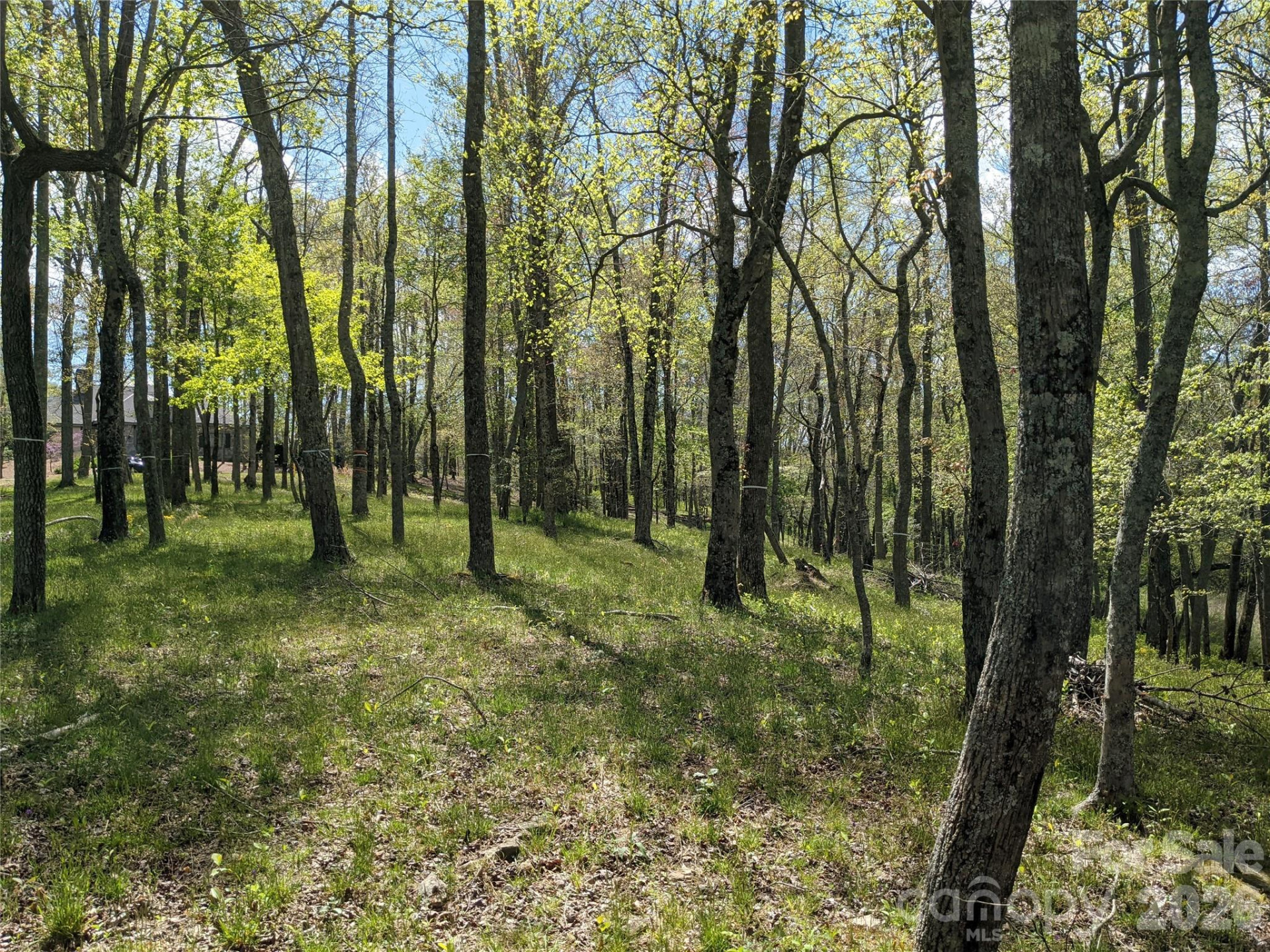 27 Woodtrail Way - Photo 6