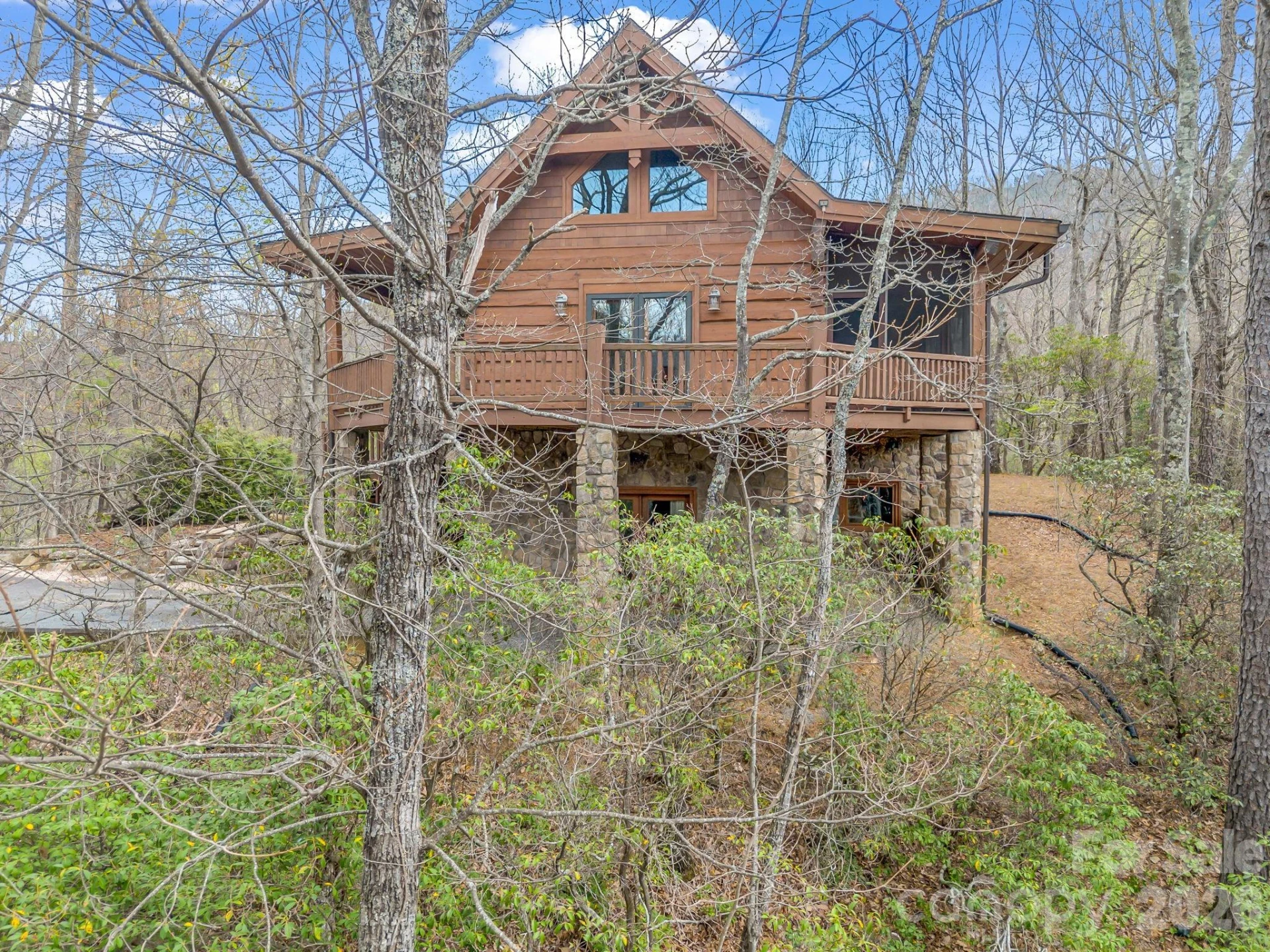 294 Verbena Drive - Photo 3