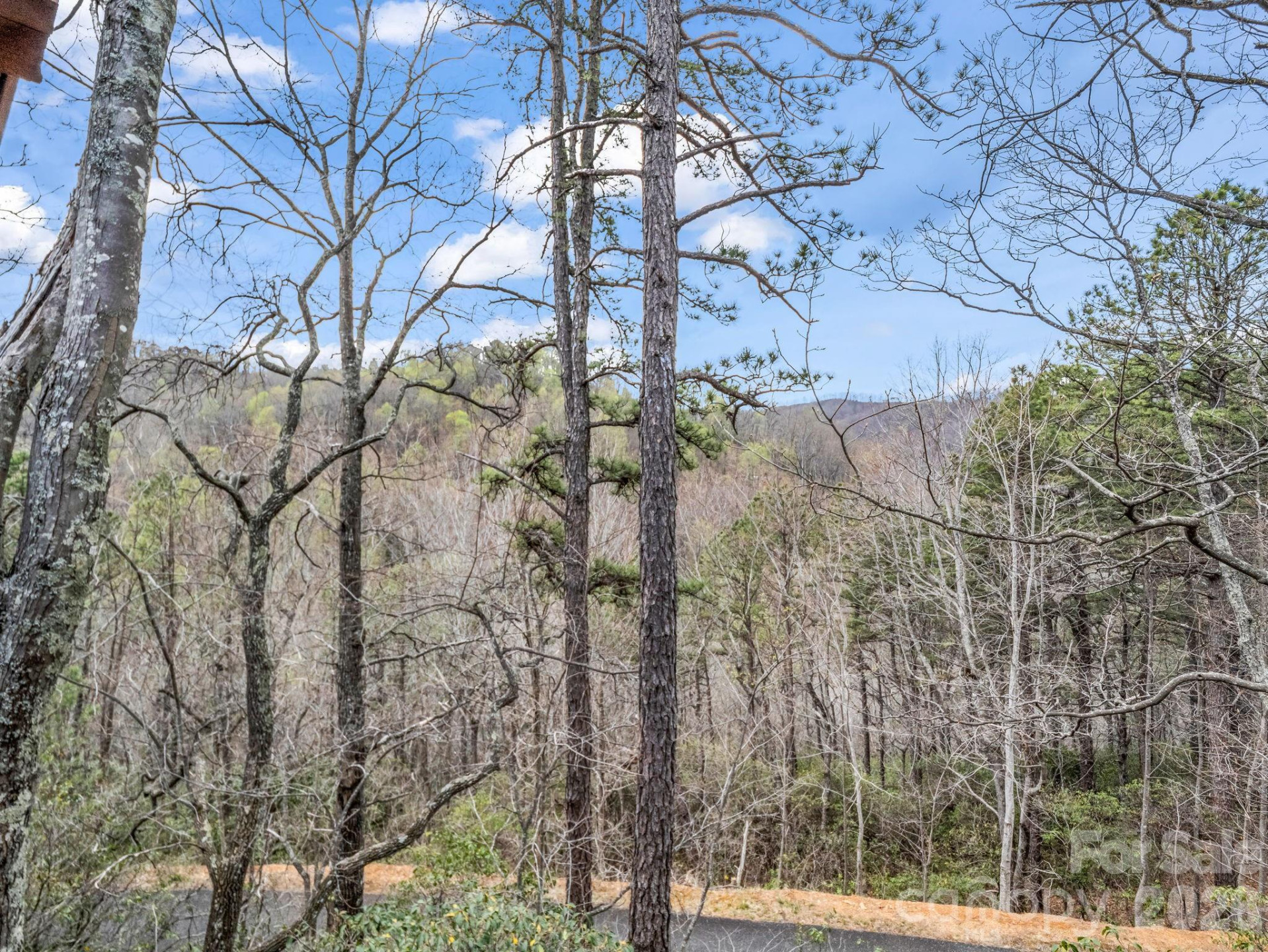 294 Verbena Drive - Photo 28