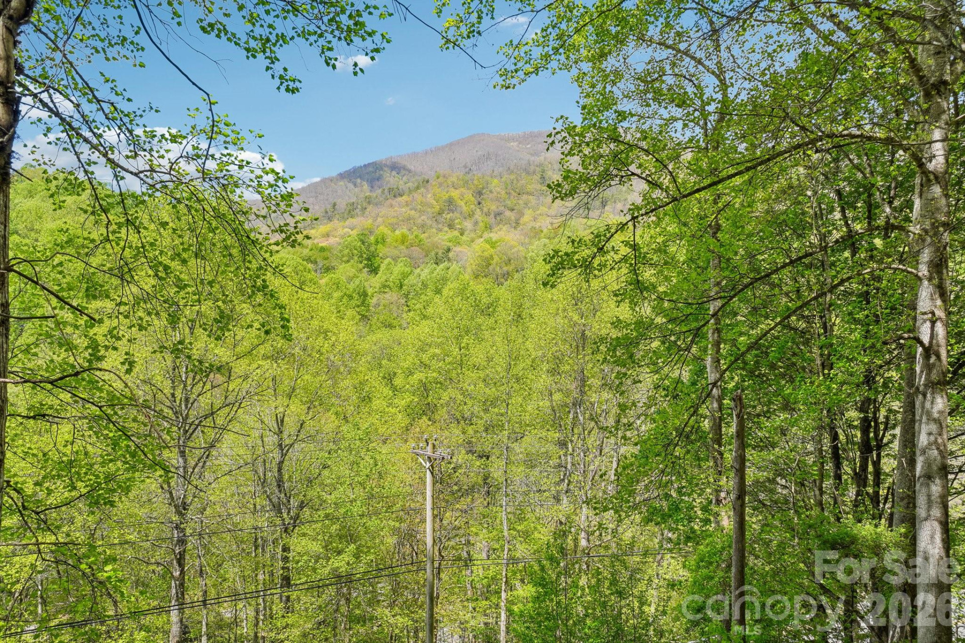 68 Split Rail Drive - Photo 21