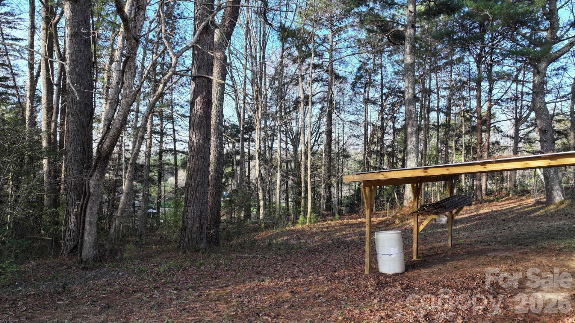 1629 NC 126 Road - Photo 33