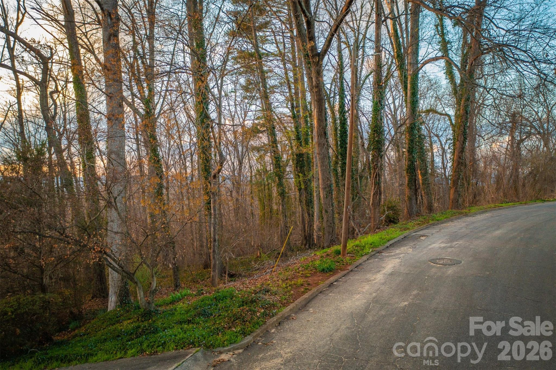 357 Walton Road - Photo 6