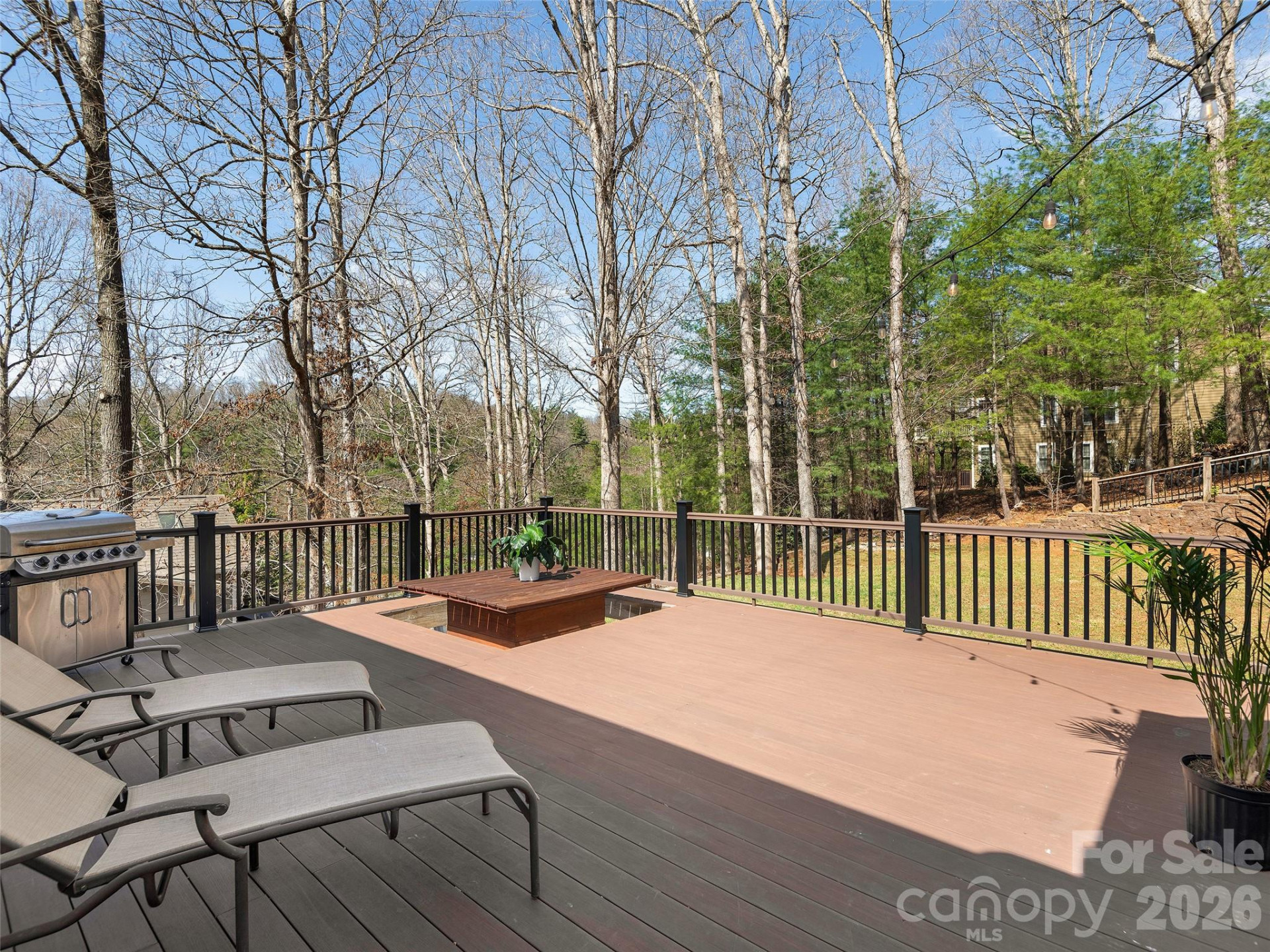 21 Dianthus Drive - Photo 7