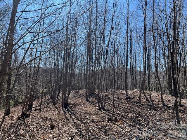 803254 Ivy Road #219 - Photo 2