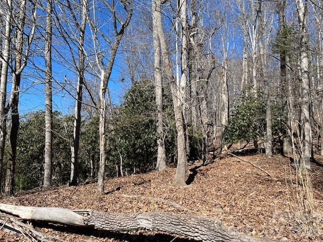 803254 Ivy Road #219 - Photo 12