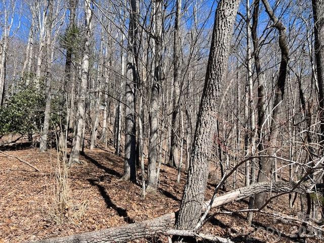 803254 Ivy Road #219 - Photo 13