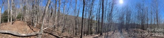 803254 Ivy Road #219 - Photo 15