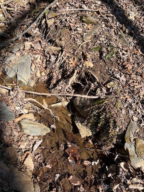 803254 Ivy Road #219 - Photo 17