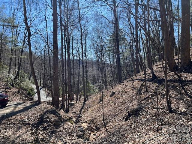 803254 Ivy Road #219 - Photo 18