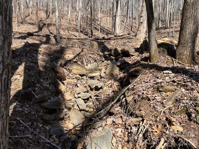 803254 Ivy Road #219 - Photo 19