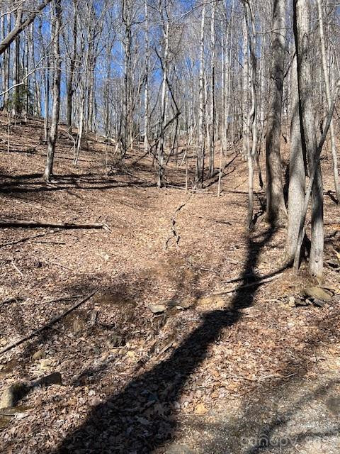 803254 Ivy Road #219 - Photo 3