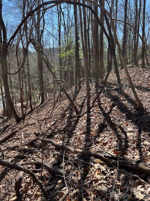 803254 Ivy Road #219 - Photo 4