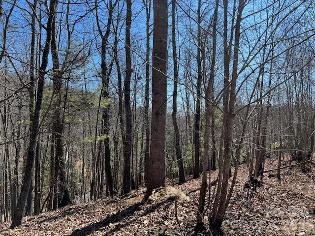 803254 Ivy Road #219 - Photo 5