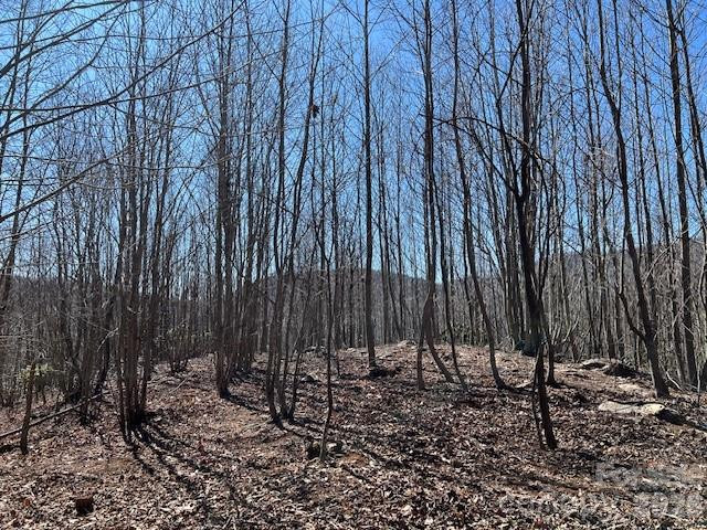 803254 Ivy Road #219 - Photo 6