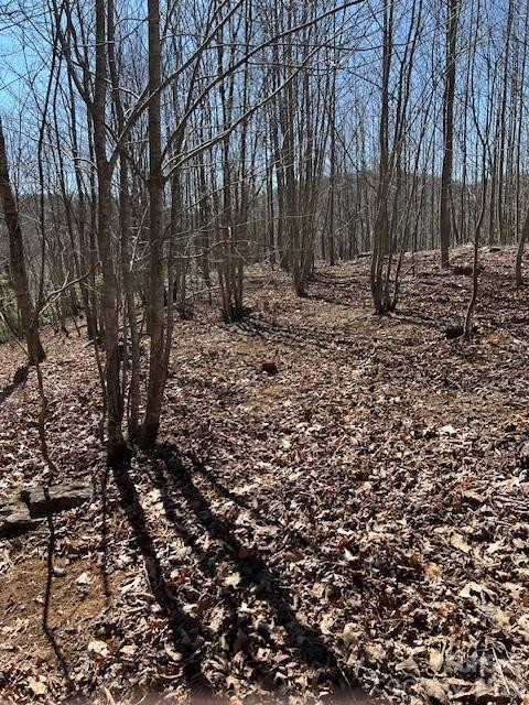 803254 Ivy Road #219 - Photo 7