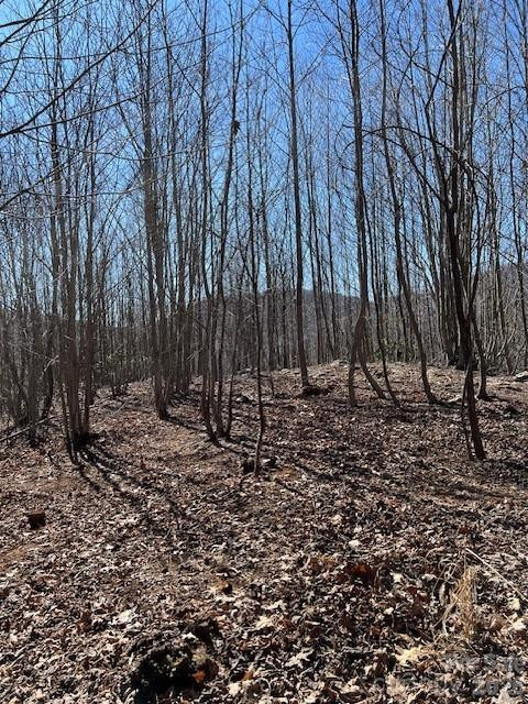 803254 Ivy Road #219 - Photo 8