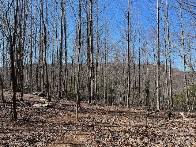 803254 Ivy Road #219 - Photo 9