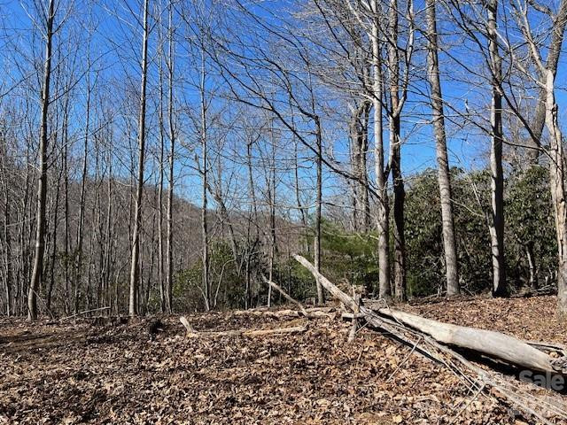 803254 Ivy Road #219 - Photo 10