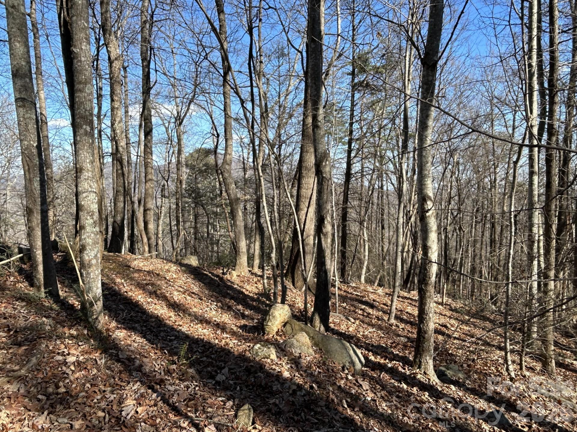 Lot 229 Swallow Lane - Photo 11