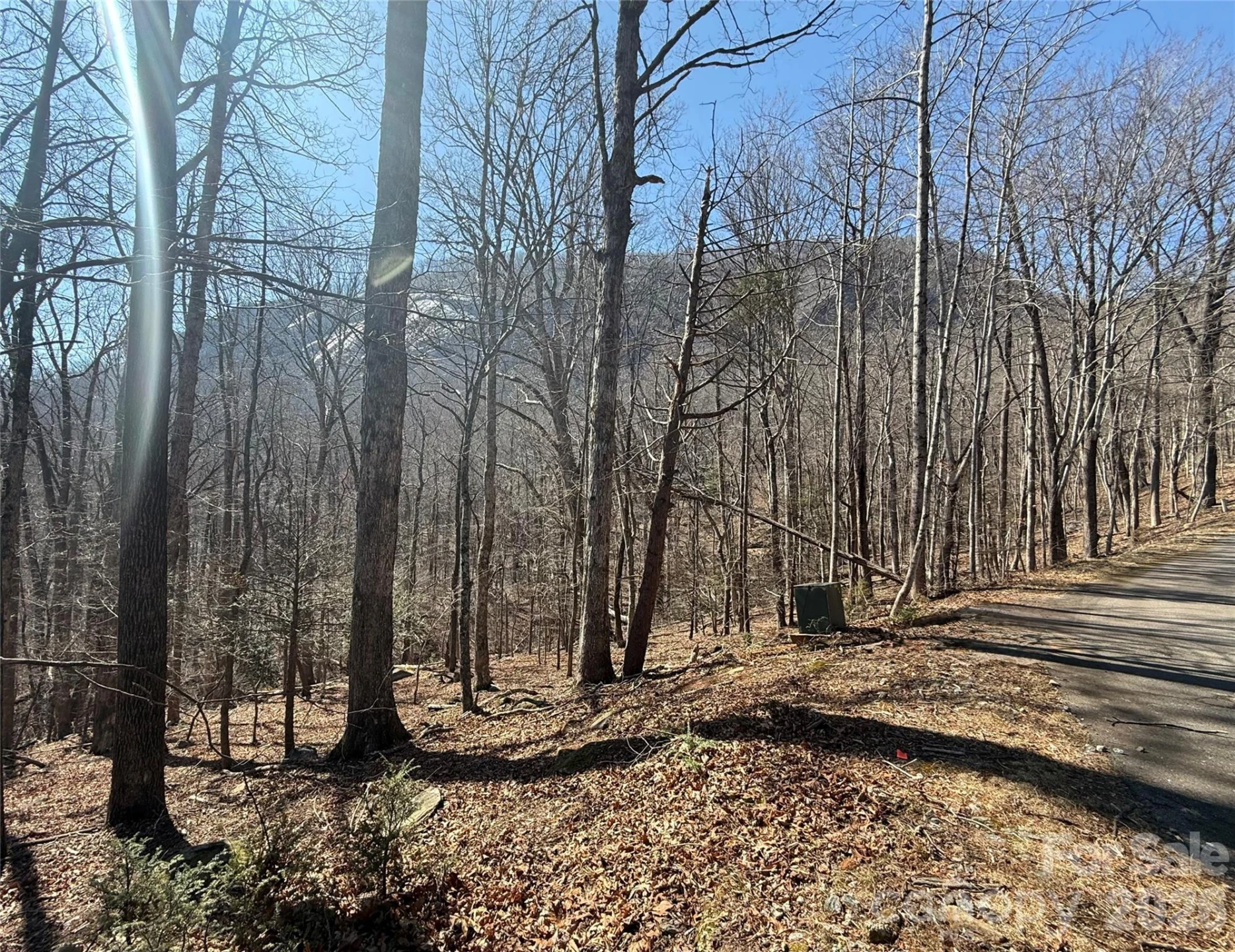 Lot 229 Swallow Lane - Photo 3