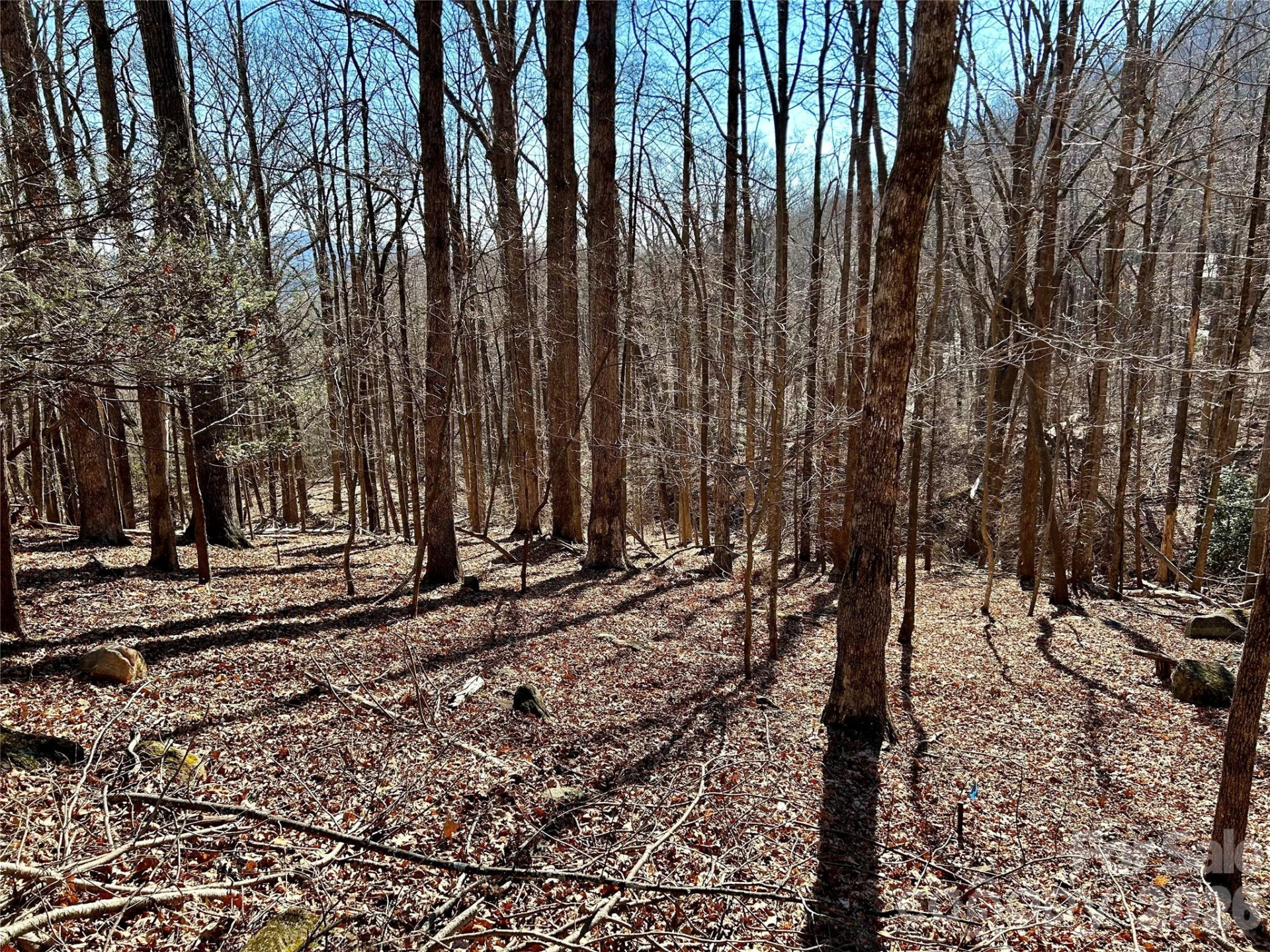 Lot 229 Swallow Lane - Photo 4