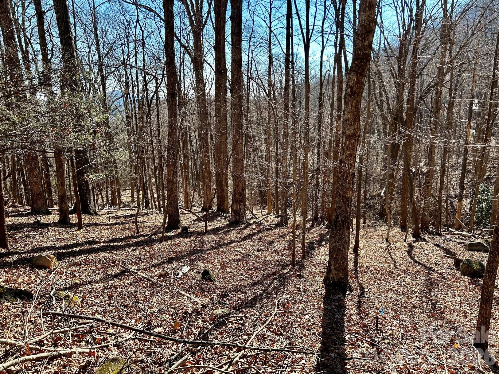 Lot 229 Swallow Lane - Photo 4