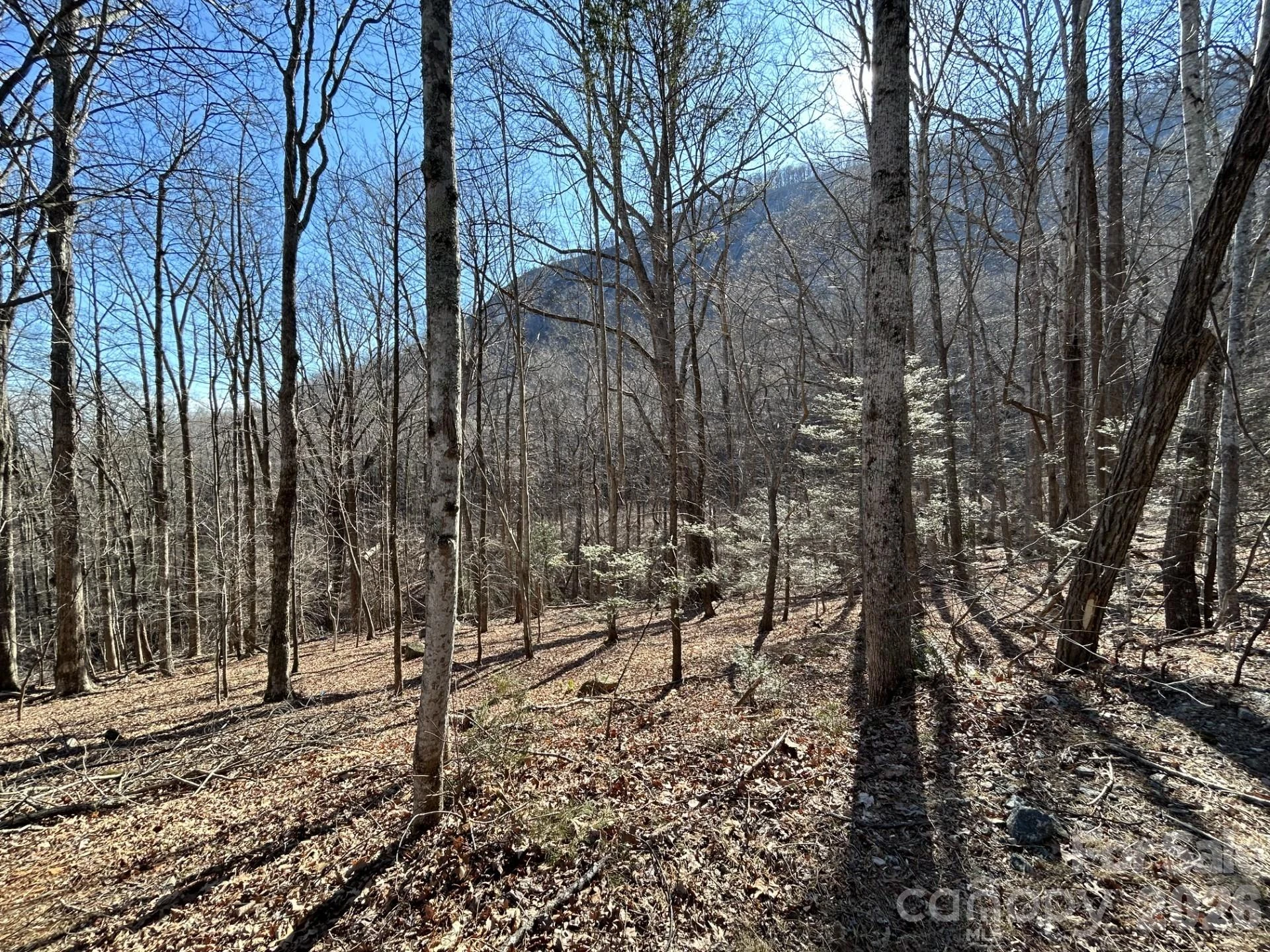 Lot 229 Swallow Lane - Photo 5