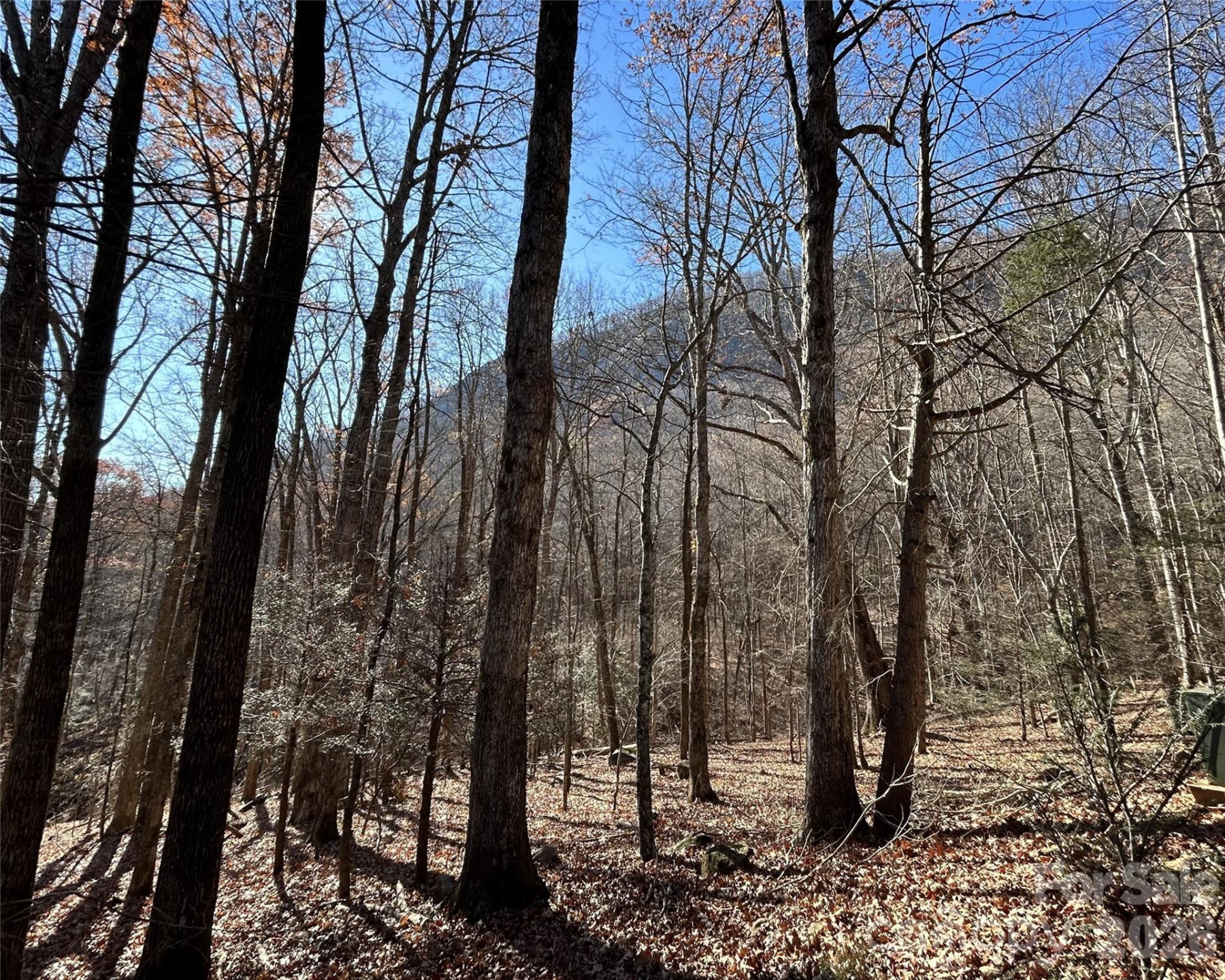 Lot 229 Swallow Lane - Photo 6