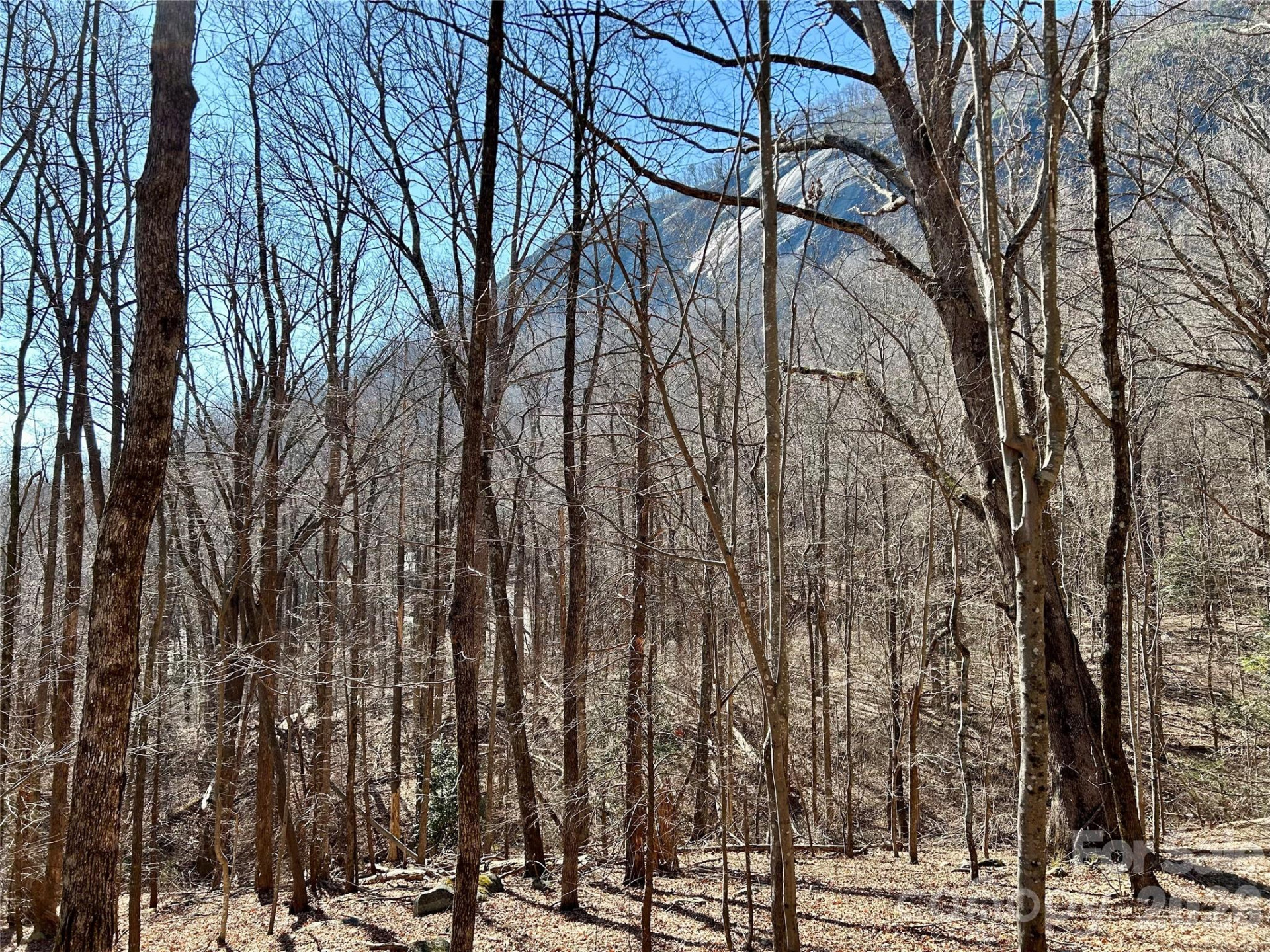 Lot 229 Swallow Lane - Photo 7