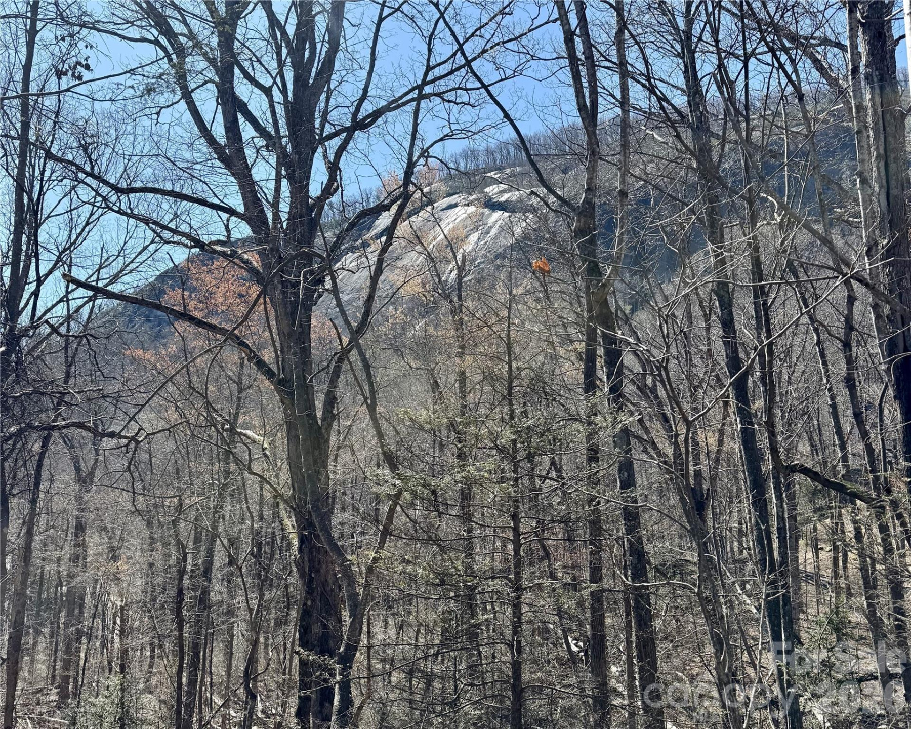 Lot 229 Swallow Lane - Photo 9