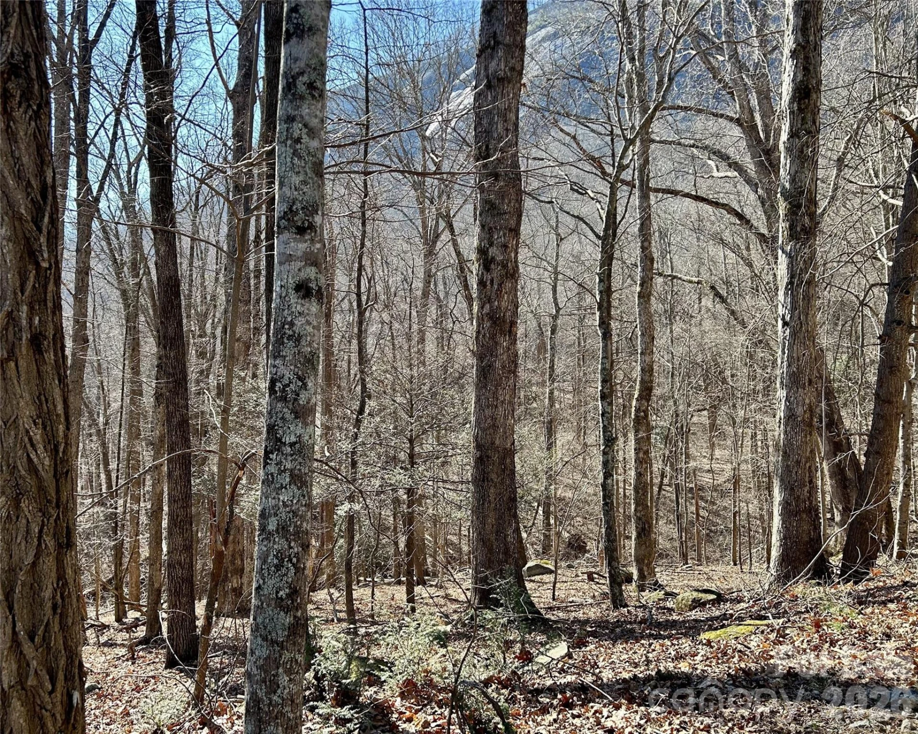Lot 229 Swallow Lane - Photo 10