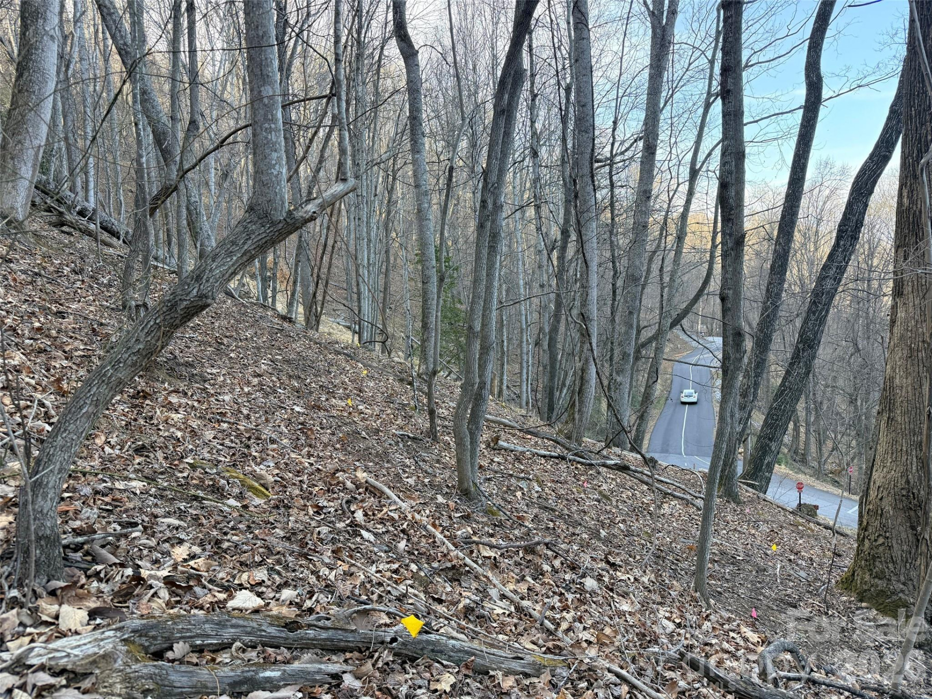 Lot #117 Honey Locust Drive #Lot #117 - Photo 2