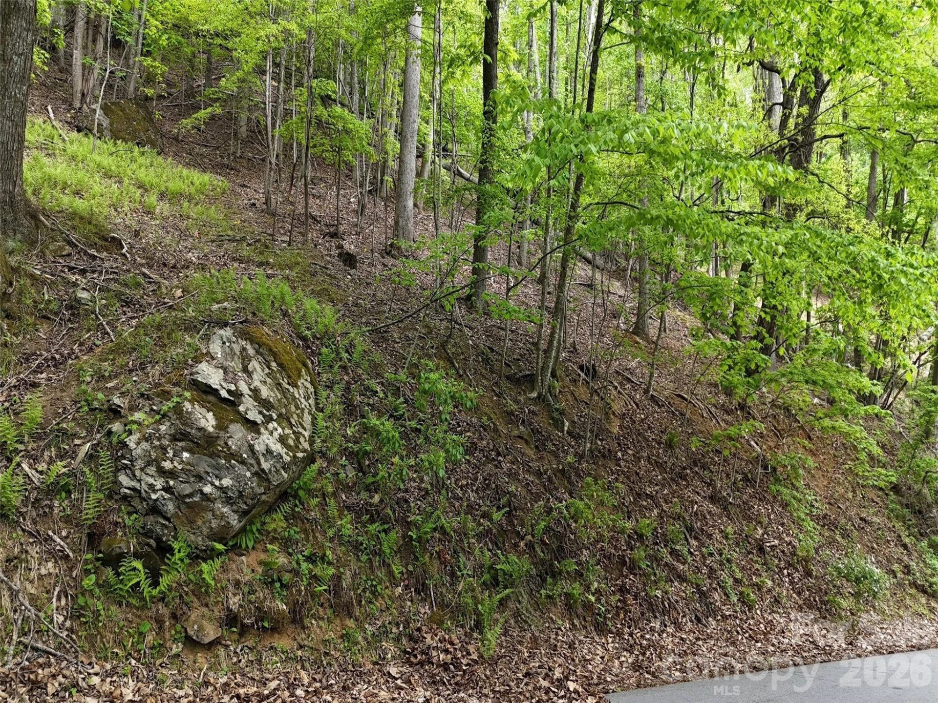 Lot #117 Honey Locust Drive #Lot #117 - Photo 20