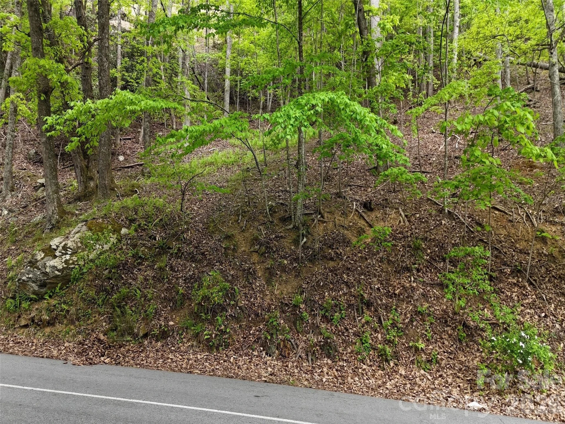 Lot #117 Honey Locust Drive #Lot #117 - Photo 22