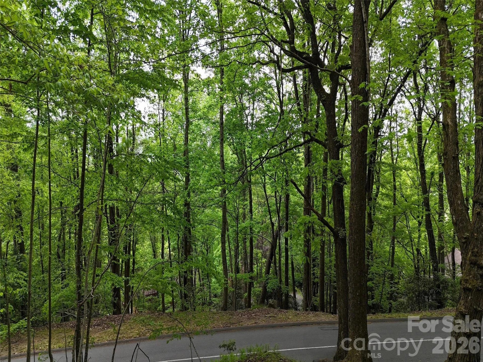 Lot #117 Honey Locust Drive #Lot #117 - Photo 24