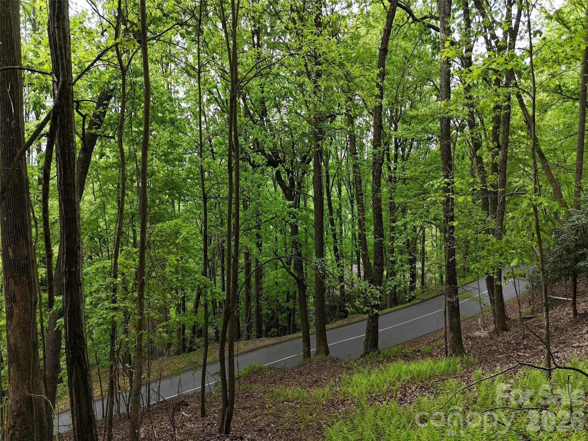Lot #117 Honey Locust Drive #Lot #117 - Photo 26