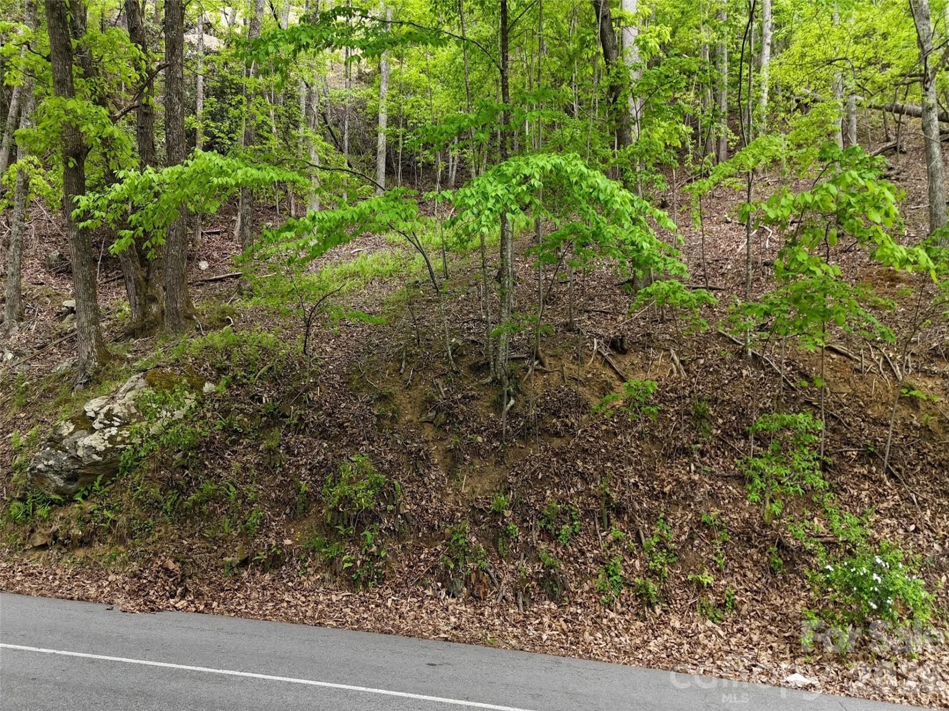 Lot #117 Honey Locust Drive #Lot #117 - Photo 28