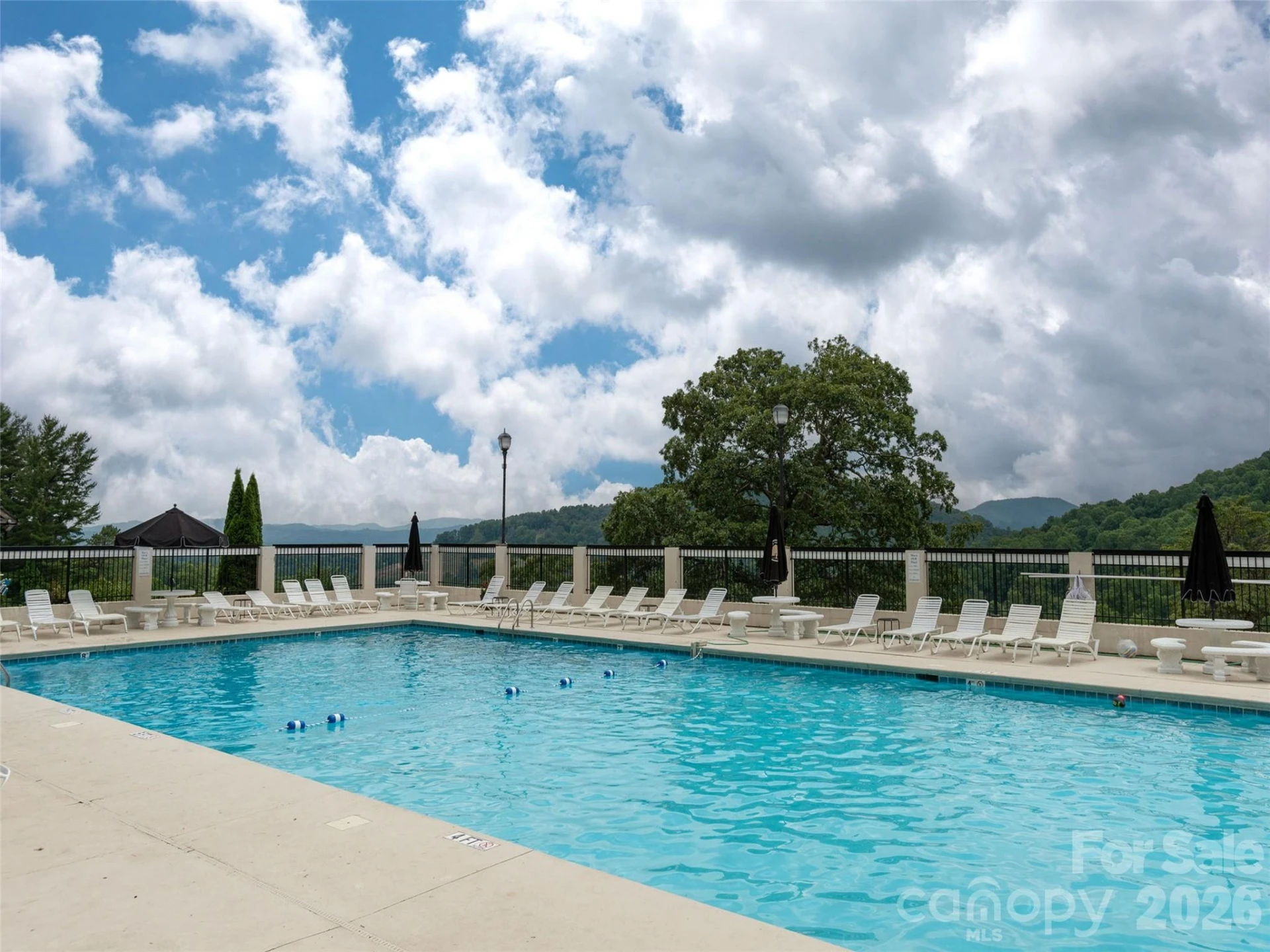 Lot #117 Honey Locust Drive #Lot #117 - Photo 32