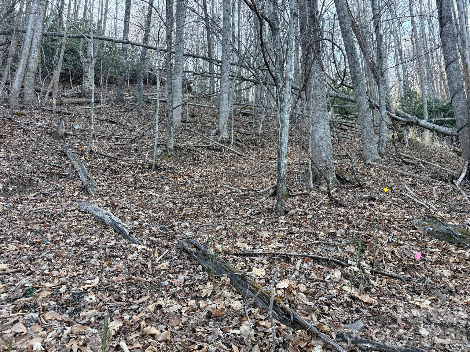 Lot #117 Honey Locust Drive #Lot #117 - Photo 3