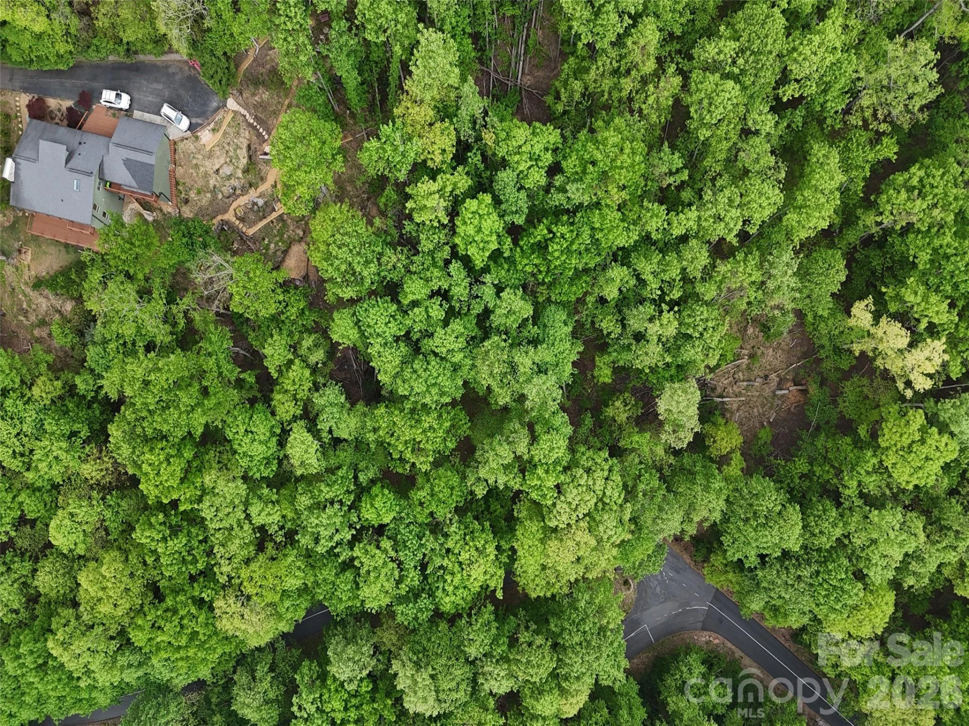 Lot #117 Honey Locust Drive #Lot #117 - Photo 5