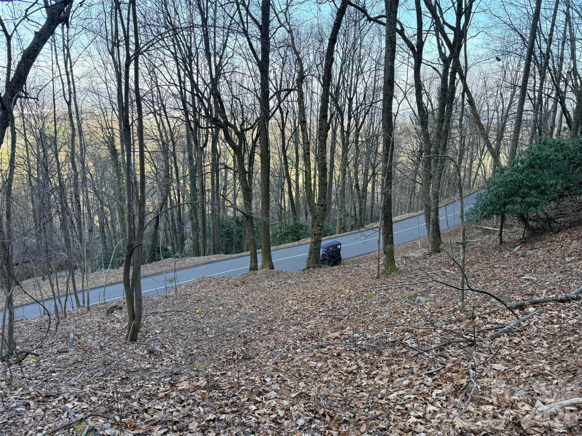 Lot #117 Honey Locust Drive #Lot #117 - Photo 4