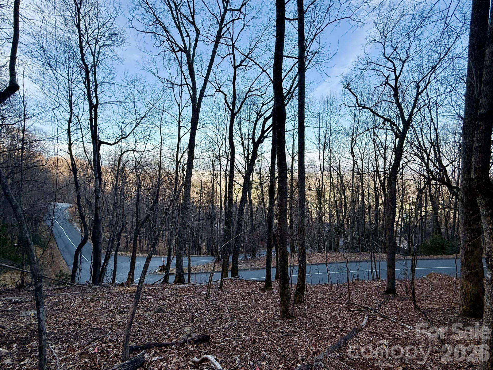 Lot #117 Honey Locust Drive #Lot #117 - Photo 5