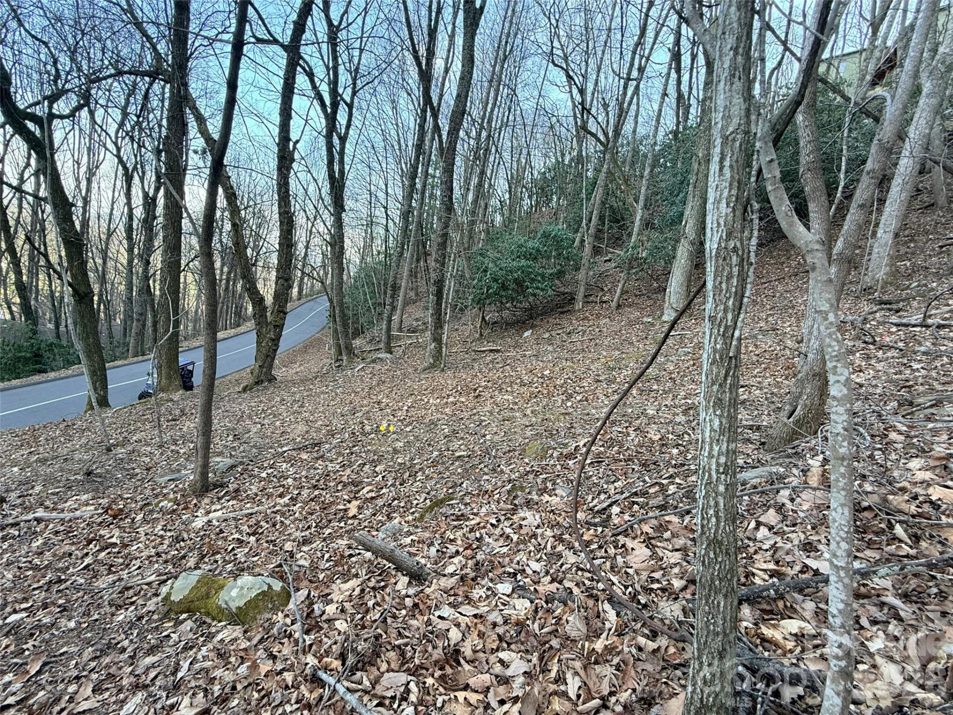 Lot #117 Honey Locust Drive #Lot #117 - Photo 6